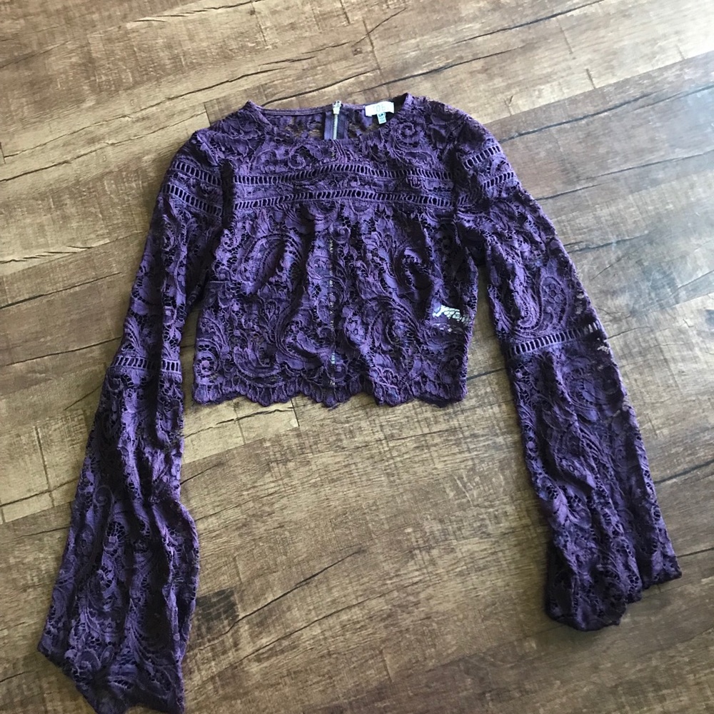 Tobi sheer lace purple crop top